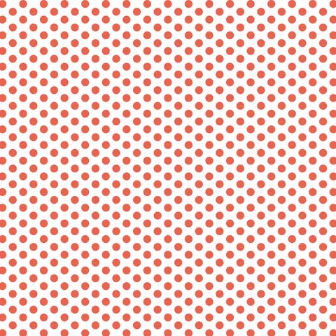 FUNDAMENTALS 1/4 SPOT GEORGIA