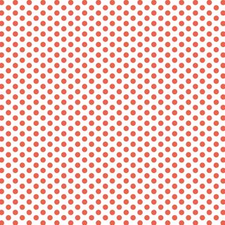 FUNDAMENTALS 1/4 SPOT GEORGIA