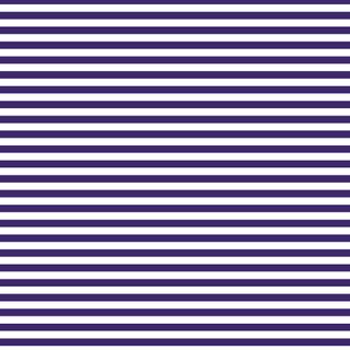 FUNDAMENTALS 1/4 STRIPE JEFF