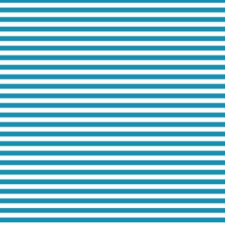 FUNDAMENTALS 1/4 STRIPE SUMMER BAY