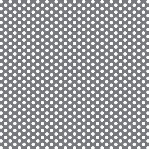 FUNDAMENTALS 1/4 SPOT BARRAMUNDI GREY