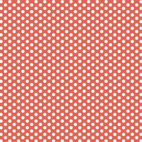 FUNDAMENTALS 1/4 SPOT GEORGIA