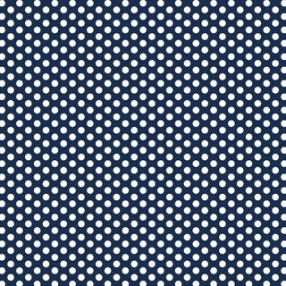 FUNDAMENTALS 1/4 SPOT GAMBIER BLUE