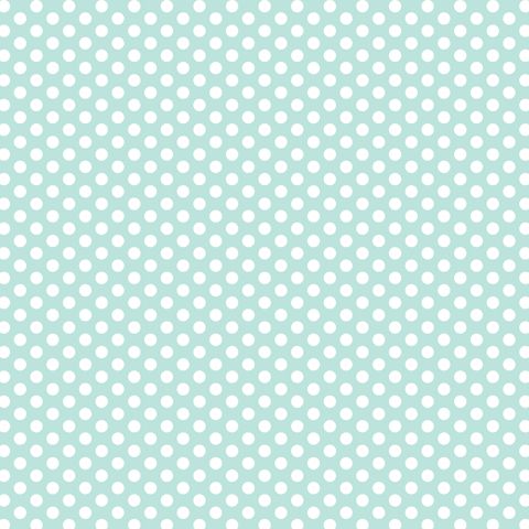 FUNDAMENTALS 1/4 SPOT SEAFOAM