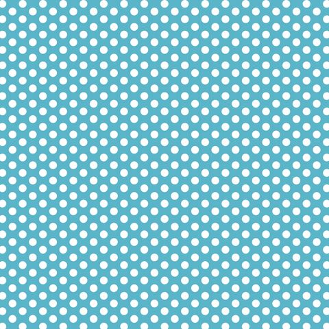 FUNDAMENTALS 1/4 SPOT BARRIER BLUE