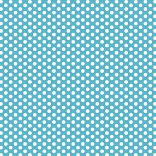 FUNDAMENTALS 1/4 SPOT BARRIER BLUE