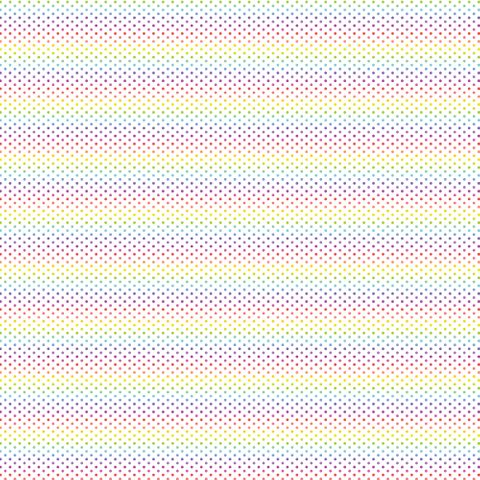 FUNDAMENTALS 1/16 SPOT RAINBOW