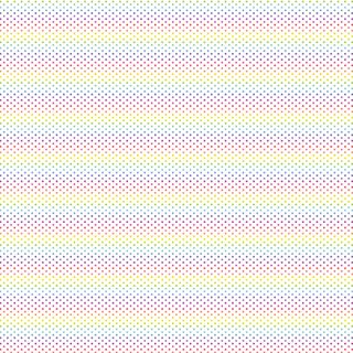 FUNDAMENTALS 1/16 SPOT RAINBOW