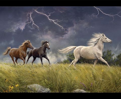 WILD HORSES - STORM ON THE PRAIRIE PANEL