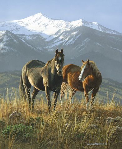 WILD HORSES - SMOKEY VALLEY PANEL