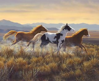 WILD HORSES - OPEN COUNTRY PANEL
