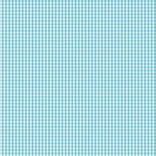 FUNDAMENTALS 1/8 CHECK BARRIER BLUE