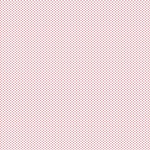 FUNDAMENTALS 1/16 SPOT RED DELICIOUS