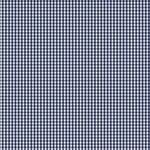 FUNDAMENTALS 1/8 CHECK GAMBIER BLUE