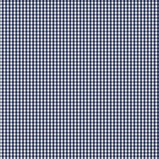 FUNDAMENTALS 1/8 CHECK GAMBIER BLUE