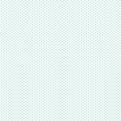 FUNDAMENTALS 1/8 SPOT SEAFOAM