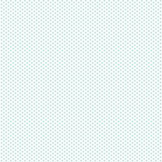 FUNDAMENTALS 1/8 SPOT SEAFOAM