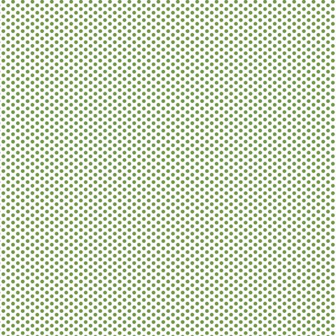 FUNDAMENTALS 1/8 SPOT CROCODILE