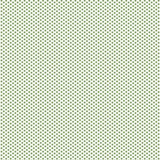 FUNDAMENTALS 1/8 SPOT CROCODILE