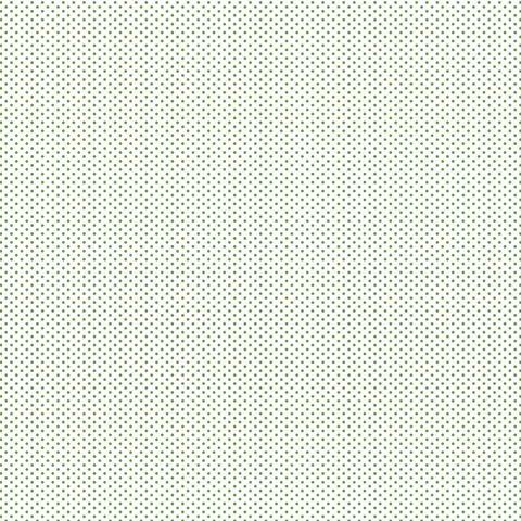 FUNDAMENTALS 1/16 SPOT CROCODILE