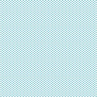 FUNDAMENTALS 1/8 SPOT BARRIER BLUE