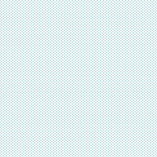 FUNDAMENTALS 1/16 SPOT BARRIER BLUE