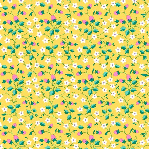 GIFTS FROM GARDEN STRAWBERRY PICKING