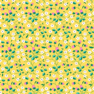 GIFTS FROM GARDEN STRAWBERRY PICKING