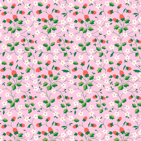 GIFTS FROM GARDEN STRAWBERRY PICKING