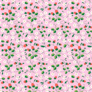 GIFTS FROM GARDEN STRAWBERRY PICKING