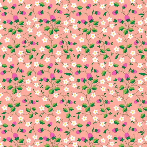 GIFTS FROM GARDEN STRAWBERRY PICKING