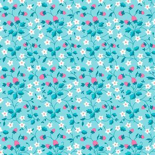 GIFTS FROM GARDEN STRAWBERRY PICKING