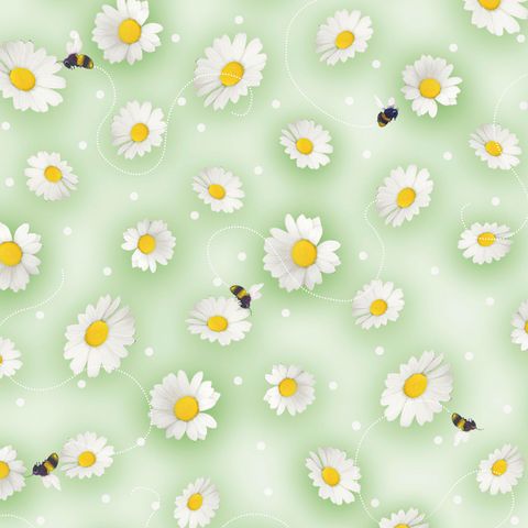 SPRING SWEETIES DAISY TOSS
