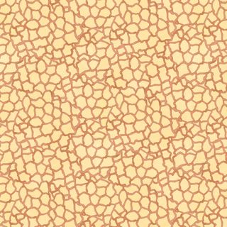 MINI MENAGERIE GIRAFFE PRINT