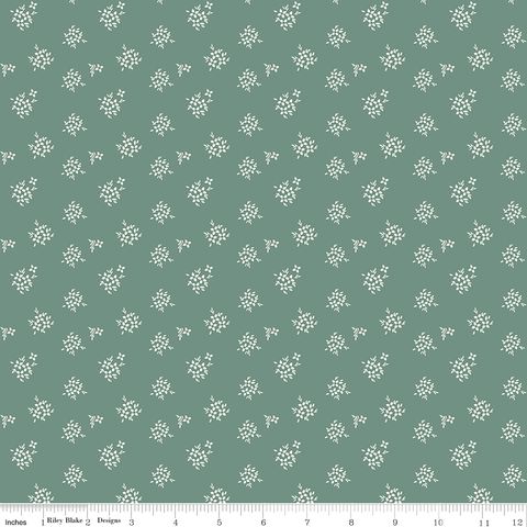 RENEW DITSY AQUA