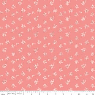 RENEW DITSY CORAL