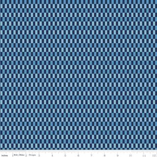 BLUE BLOOMS & THREADS  CHECKS NAVY