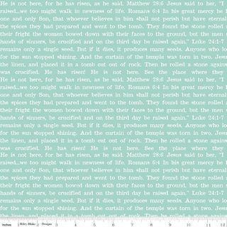 EGG HUNT EMPTY TOMB TEXT AQUA