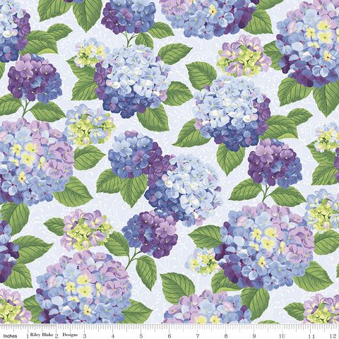 HYDRANGEAS IN THE GARDEN MAIN POWDER PEARL