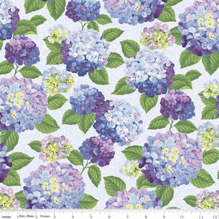 HYDRANGEAS IN THE GARDEN MAIN POWDER PEARL