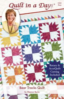 BEAR TRACKS BY QUILT IN A DAY