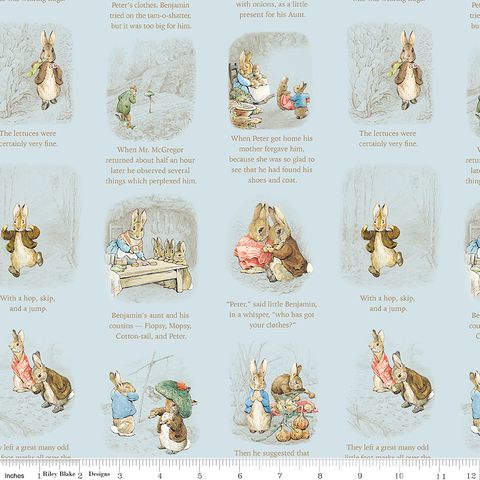 PETER RABBIT & BENJAMIN BUNNYSTORY TIME BLUE