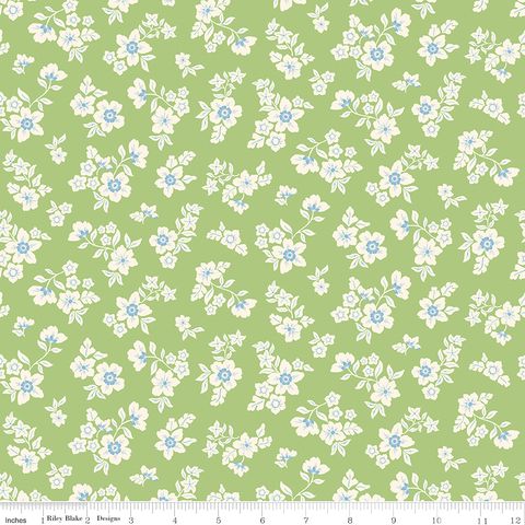 VIRGINIA ROSE PRIMROSE GREEN