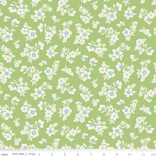 VIRGINIA ROSE PRIMROSE GREEN
