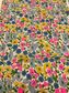 CLASSIC CAPSULE 23 POPPY AND DAISY V NEON