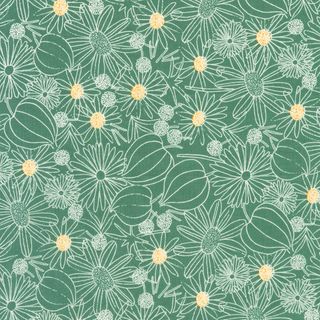 CRYSTAL LAWN
