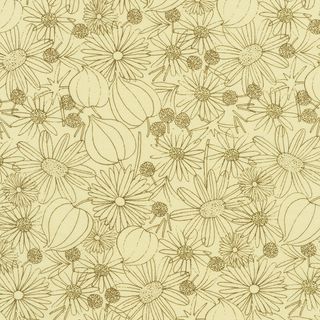 CRYSTAL LAWN