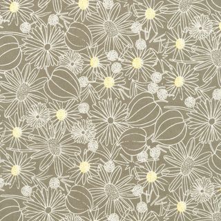 CRYSTAL LAWN