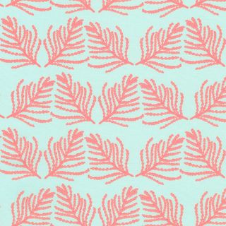 THE COASTAL COLLECTION