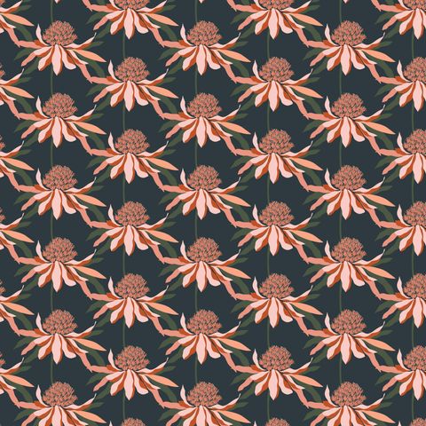 RACHELLE HOLOWKO COLLECTION